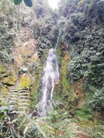 WhatsApp Image 2022-11-13 at 22.04.12 (1)