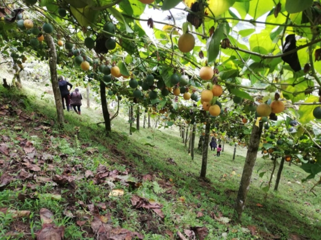 WhatsApp Image 2022-11-13 at 22.04.13 (1)